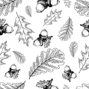 Meşe yaprağı ve meşe palamudunun vektörsüz deseni. Klasik oymalı sonbahar çizimi. Dekorasyon, ambalaj kağıdı, duvar kağıdı, hediyeler ve diğer tasarımlar için iyidir.. 