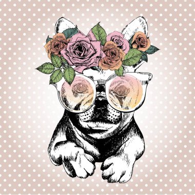 Vecotr portrait of dog, wearing the floral wreath and sunglasses. Hand drawn vintage trendy illustration. French bulldog breed. Isolated on polka dot and rose gold background. vector