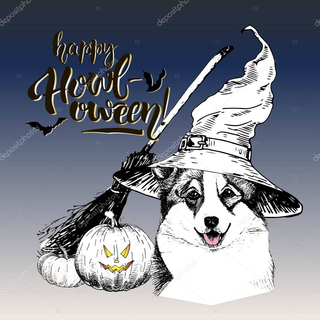 Vector greeting card for Halloween. Welsh corgi dog wearing the witch hat. Broom and pumpkin lanterns. Decorated with lettering Happy Howl-oween and bats. Hand drawn.