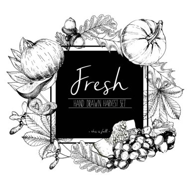 Taze sebzelerin vektör kare sınır rengi çizimi. Balkabağı, armut, erik, üzüm, sonbahar yaprakları. El yapımı, vejetaryen, lezzetli organik yiyecekler..