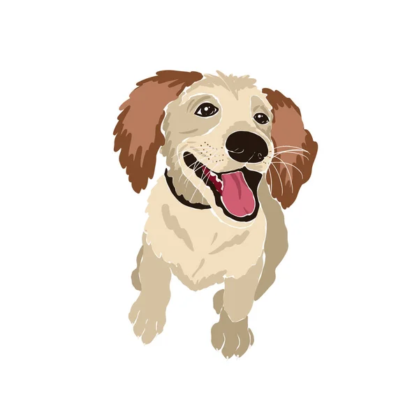 かわいい笑顔の犬 子犬の顔 ラブラドールペット 抽象的な女性のベクトルイラストのセット 夏のトレンディーなシンプルなアイコン Instagramの投稿 ビジネス広告 チラシのデザイン — ストックベクタ