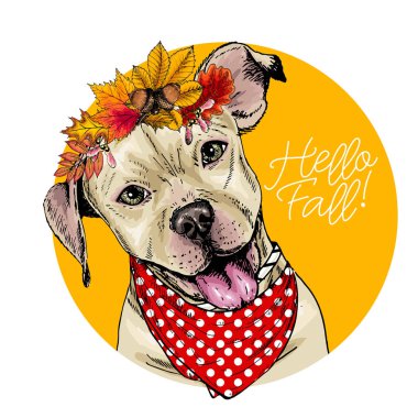 Vector portrait of Pit Bull Terrier dog wearing autumn leaves crown. Hello fall illustration. Oak, maple, chestnut, rowen. Hand drawn pet portait. Poster, t-shirt print, postcard, seasonal greeting vector