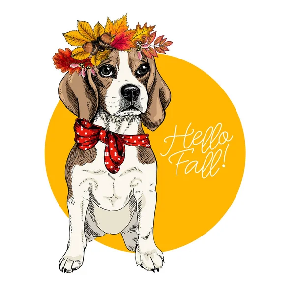 Retrato Vetorial Cão Menina Beagle Vestindo Folhas Outono Coroa Olá — Vetor de Stock