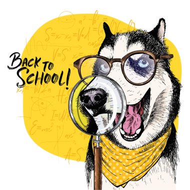 Sibirya Husky köpeğinin büyüteç camlı ve büyük burun yansımalı portresi. Okul illüstrasyonuna dönelim. Arka planda matematik formülleri. Elle çizilmiş hayvan portresi. Ders posteri, öğrenci karikatürü