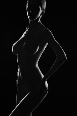 Studio poz çıplak kız.