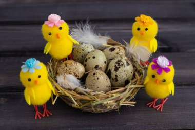 Mutlu Paskalya yumurtaları. Siyah arka planda tavuklar..