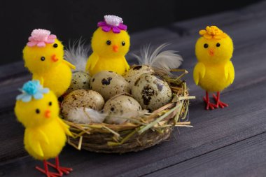 Mutlu Paskalya yumurtaları. Siyah arka planda tavuklar..