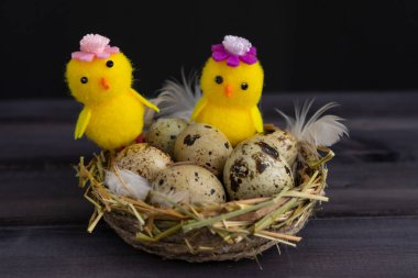 Mutlu Paskalya yumurtaları. Siyah arka planda tavuklar..