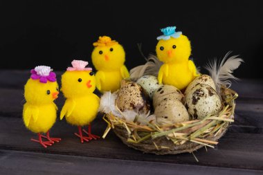 Mutlu Paskalya yumurtaları. Siyah arka planda tavuklar..