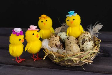 Mutlu Paskalya yumurtaları. Siyah arka planda tavuklar..