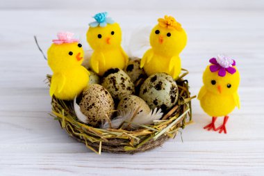 Mutlu Paskalya bıldırcın yumurtaları ve beyaz arka planda tavuklar.
