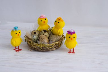 Mutlu Paskalya bıldırcın yumurtaları ve beyaz arka planda tavuklar.