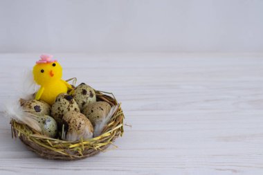 Mutlu Paskalya yumurtaları, beyaz arka planda tavuklar ve mesaj atacak bir yer.