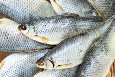 Kuru hamamböceği balığı, üst görünüm, bir sürü parça, balık arka plan