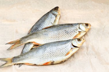 balık kuru hamamböceği. 3 parça yiyecek kağıdı..