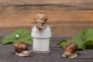 Sümüklü salyangozlu krema. Üzüm salyangozunun yanında beyaz kavanoz kreması..
