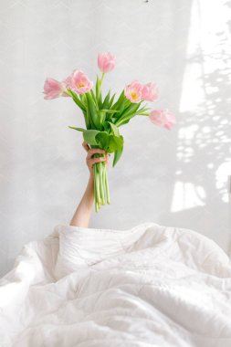 Günaydın pembe laleler bir kadının elinde yatakta, doğum günü kutlamaları
