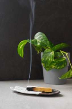 Palo Santo seramik tabakta sigara içiyor.