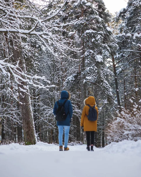 two people walking in the distance through a winter forest or park in white snow, a sunny day for walking