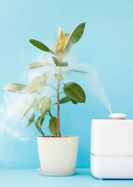 Αρωματικό χώρου και υγραντήρας για τον καθαρισμό του αέρα και την ύγρανση των φυτών του σπιτιού — Φωτογραφία Αρχείου