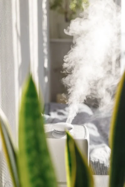 Υγραντήρας στο διαμέρισμα μεταξύ των φυτών, αέρα entrainment και καθαρισμού κατά την opotypical εποχή, αποσμητικό χώρου και entrainment για υγιή αναπνοή και καλή αναπνευστική λειτουργία — Φωτογραφία Αρχείου