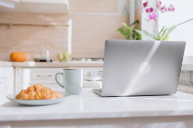 Avrupalı bir kadın mutfakta kahve yapıyor ve sabahının tadını çıkarıyor, günaydın.