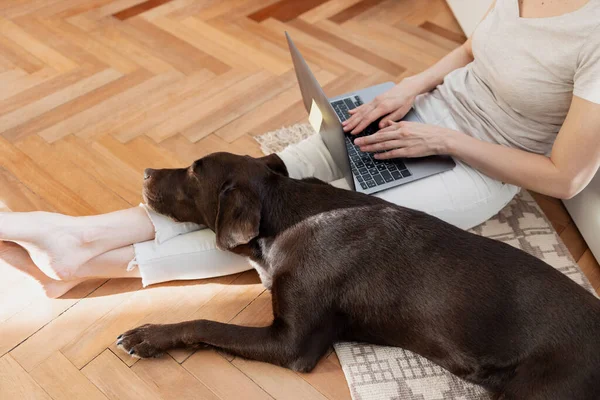 caucasian woman working at home on laptop sitting on floor