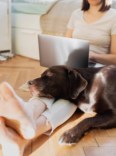 Kavkazská žena pracující doma na notebooku sedící na podlaze — Stock fotografie