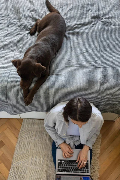 Glückliche Europäerin und ihr Labrador Retriever Hund zu Hause — Stockfoto