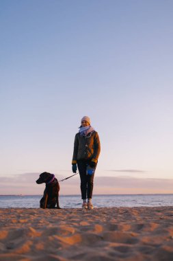 Günbatımında köpeğini gezdiren kadın, modern binaların arka planında güzel bir günbatımı.