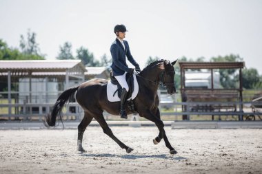 portrait of man rider and black stallion horse galloping during equestrian dressage competition in summer in daytime
