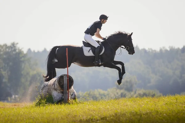 Retrato Salto Cavalo Competição Eventing — Fotografia de Stock