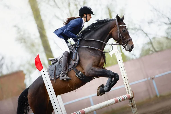 Close Retrato Égua Cavalo Bela Mulher Cavaleiro Saltar Durante Equestre — Fotografia de Stock