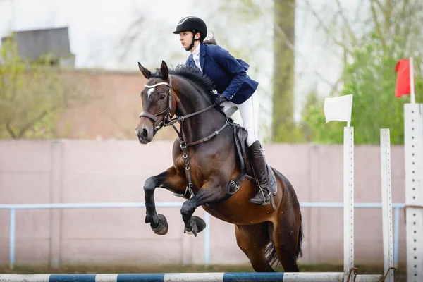 Porträt Von Stutenpferd Und Schöner Reiterin Beim Springreitturnier Frühling Stockfoto