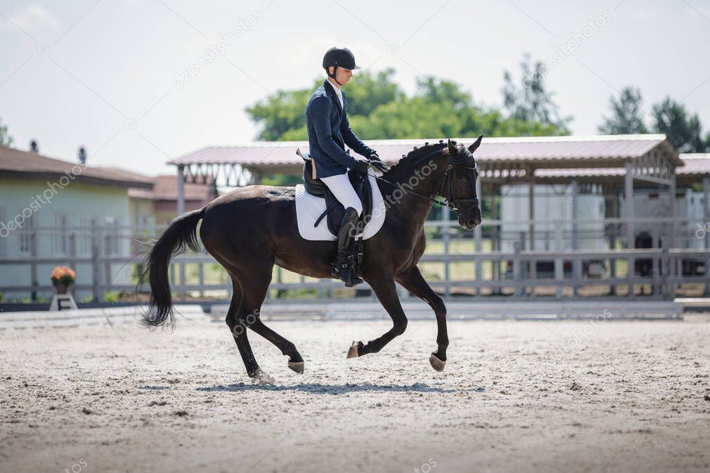 portrait of man rider and black stallion horse galloping during equestrian dressage competition in summer in daytime