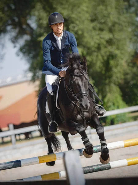 Close Retrato Cavalo Garanhão Preto Bonito Homem Cavaleiro Salto Obstáculo — Fotografia de Stock