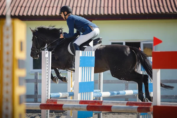 Cavalo Saltando Com Homem Cavaleiro — Fotografia de Stock