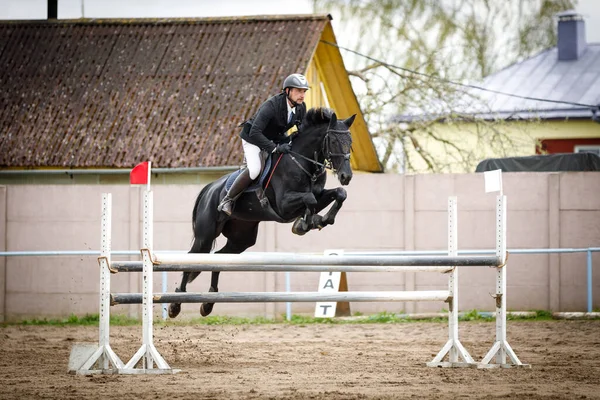 Portrait Black Mare Horse Adult Man Rider Jumping Equestrian Showjumping — Stock Photo, Image