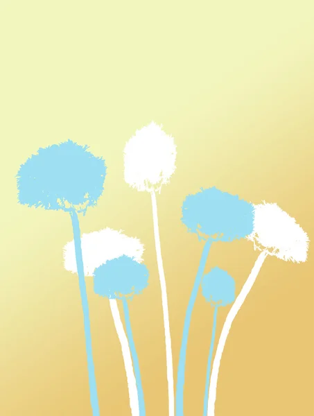 Karahindiba, Bahar çiçek günbatımı arka plan üzerinde 