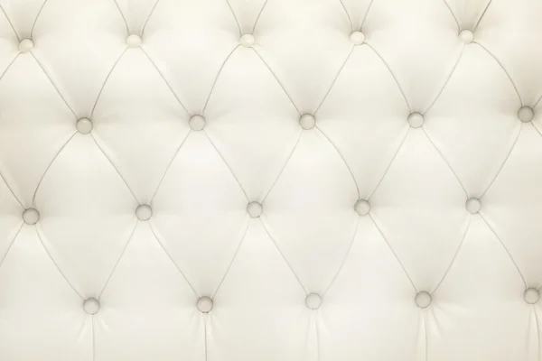 muhteşem bir kanepe ve deri döşeme