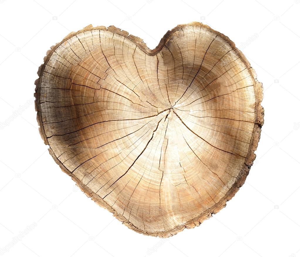 cross section of tree rings, cut in the form of heart