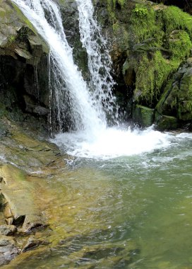 Doğa. Nehirlerin, göllerin Karpat, doğal bir görünüm 