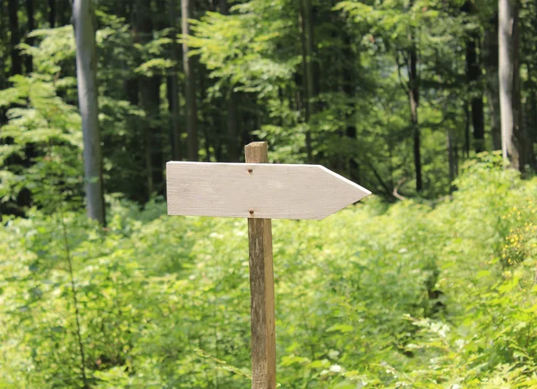 İşaretçi ormanda el ağaçtan