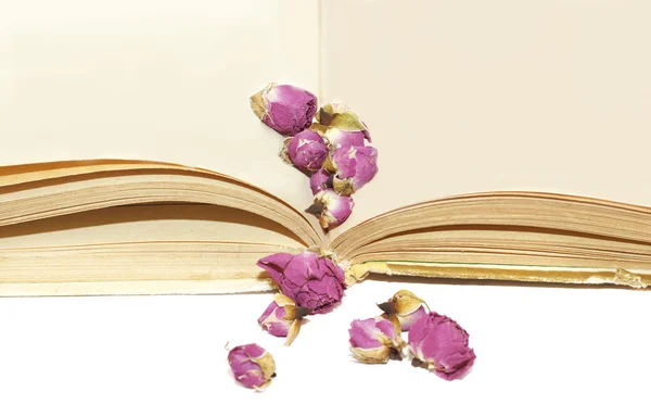 Dry roses on old book page spreads — Stock Photo, Image