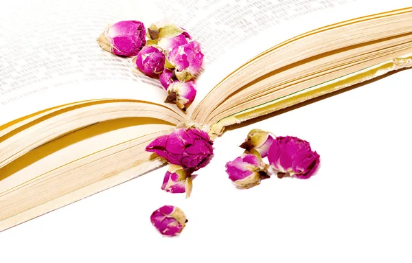 Kuru gül eski kitap sayfası üzerinde yayılır. Metin için yer