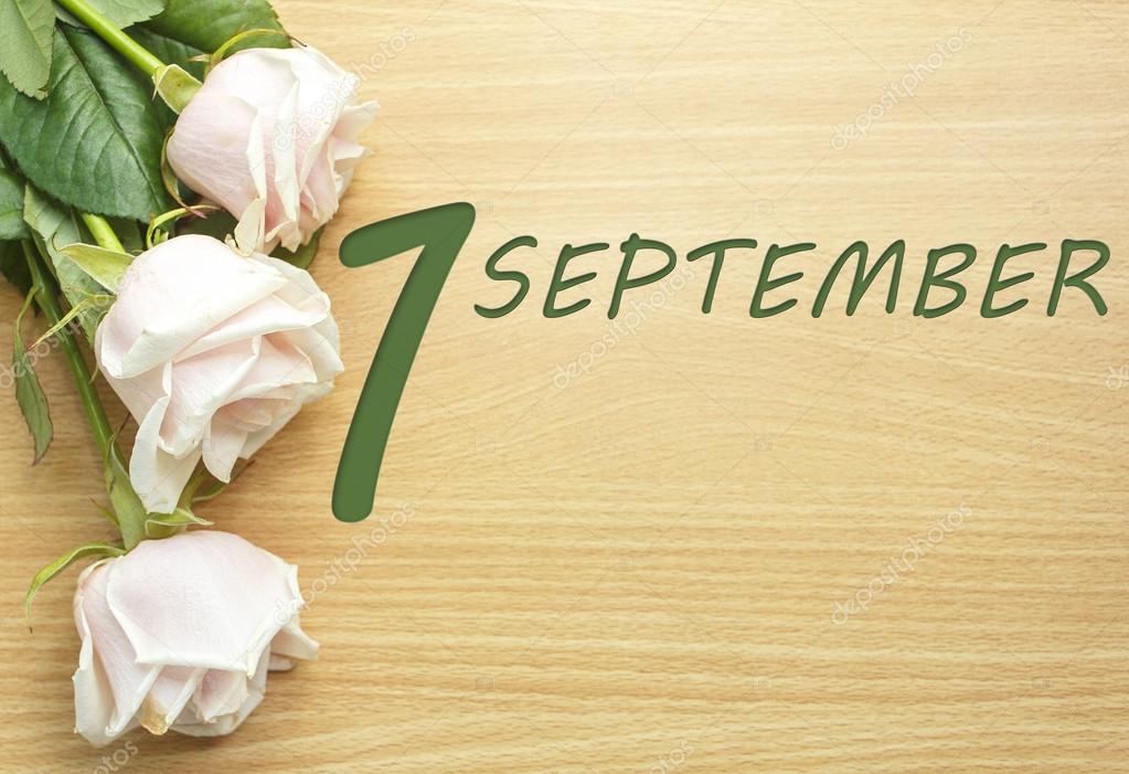 9 月1 日 一张木桌上的玫瑰 图库照片 C Depozit Alena 75334343