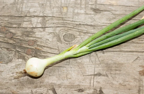 Young green onions on a wooden bench, freshly picked — Zdjęcie stockowe