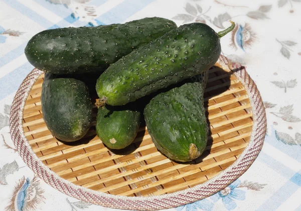 Cucumbers stacked pile on a rustic table Ingredients — Stock Photo, Image