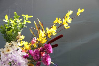 Gri mavi arka planda güneş ışığı ve çiçekler