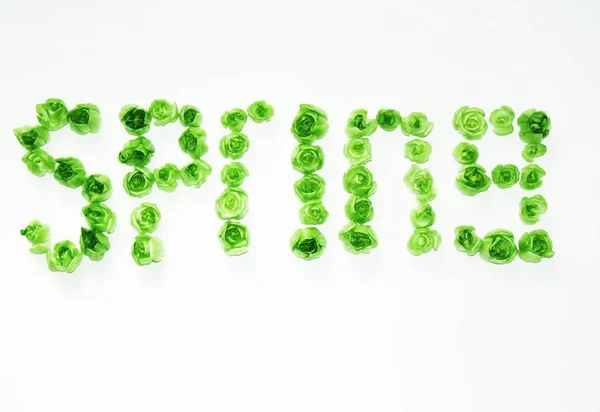 Pflanzliche Kreative Schrift Frühling — Stockfoto